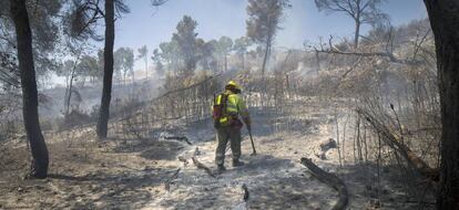 The Sierra Calderona wildfire of June 2017.