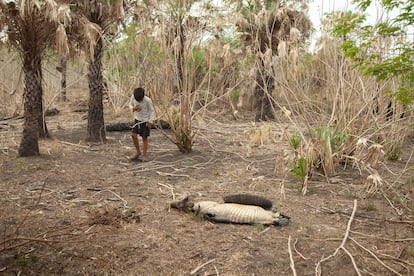 Las sequías y los incendios, que se multiplican e intensifican cada año, agravan la falta de agua potable en las comunidades que habitan el Chaco paraguayo.