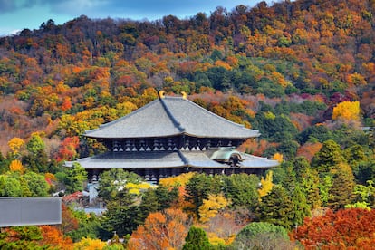 Vista del templo de Todaiji, en la localidad nipona de Nara.