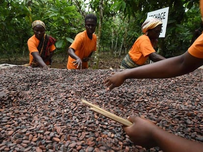 Mujeres de una cooperativa de cacao en Costa de Marfil. 