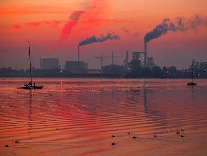 El humo sale de las chimeneas de empresas madereras en la bahía de Wismar, en el Estado alemán de Mecklemburgo-Pomerania Occidental.