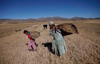 Nesta foto, tirada em maio de 2011, uma mulher e sua filha carregam sua colheita de aveia em Achacachi, na Bolívia, afetada pela pior seca em 20 anos.