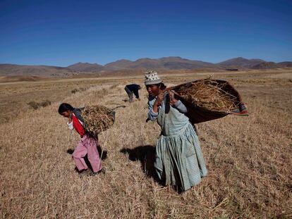 Nesta foto, tirada em maio de 2011, uma mulher e sua filha carregam sua colheita de aveia em Achacachi, na Bolívia, afetada pela pior seca em 20 anos.