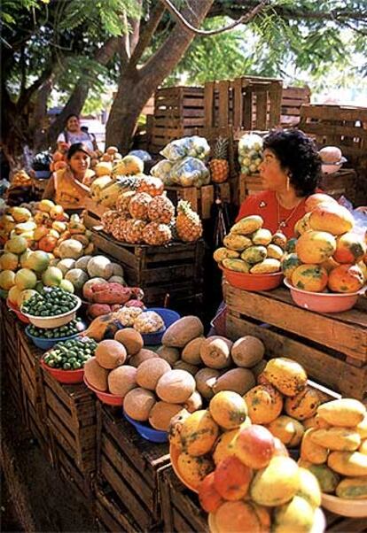 Fotografía tomada de 'Larousse gastronomique en español'.