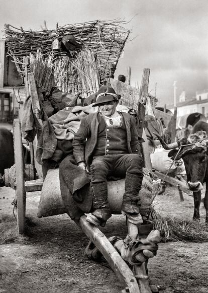 ‘Zamora Cart and Owner (Carro y su dueño en Zamora)’.