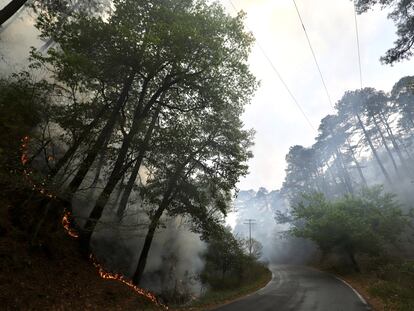 El incendio que afecta la sierra de Santiago, en Nuevo León