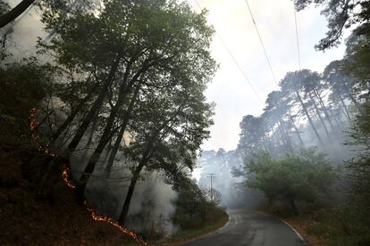 El incendio que afecta la sierra de Santiago, en Nuevo León