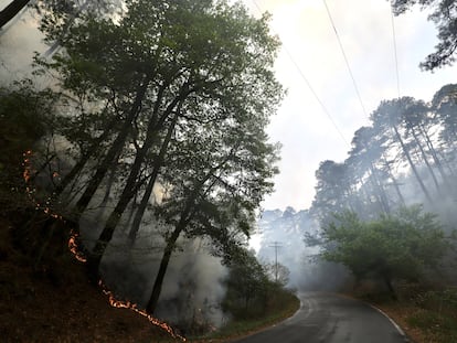 El incendio que afecta la sierra de Santiago, en Nuevo León, el pasado 12 de abril.