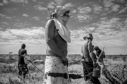 Los monocultivos, principalmente de soja y maíz, constituyen un desafío para la supervivencia de los indígenas guaraní kaiowá de Brasil. Habitantes de la retomada (como llaman a las tierras reocupadas) Guapoy esperan frente a una estancia custodiada por la Policía Militar en Caarapó (Mato Grosso do Sul, Brasi). 