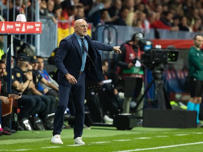 El entrenador de la selección española de fútbol, Luis de la Fuente, durante el España-Noruega del pasado sábado en el estadio de La Rosaleda, en Málaga.