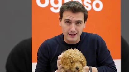 Albert Rivera, con el cachorro 'Lucas'.