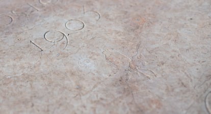 En la lápida de Mercedes Roca se observa una caracola y un dibujo similar a la planta del opio.