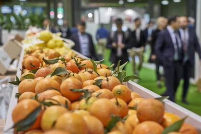 Exposición de frutas en un estand de Fruit Attraction 2019.