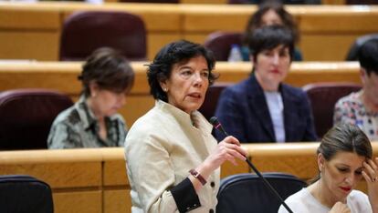 Isabel Celaá anunció el mes pasado que su ministerio recurriría por vía judicial el pin parental.