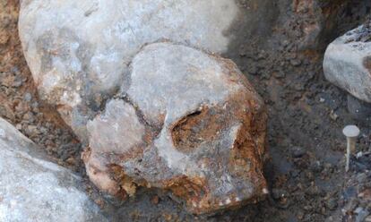 Cráneo de hace unos 8.000 años, encontrado Kanaljorden (Suecia).