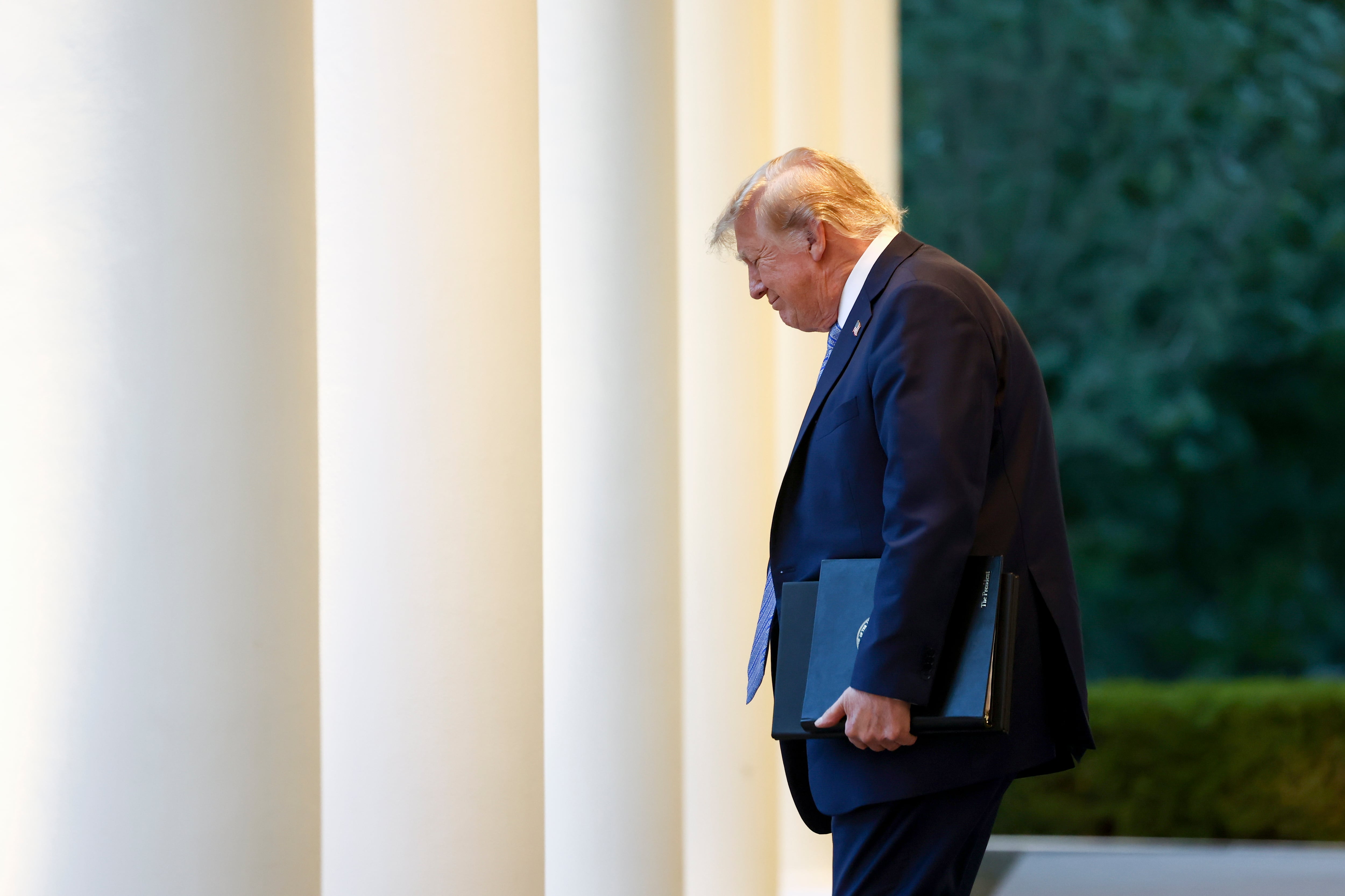 Let's take advantage of the big shots through Trump's butt.