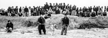 Dos hombres sostienen a uno de los perros antes de iniciarse el combate. En la mayoría de los combates participan mastines autóctonos.