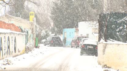 Cae la nieve en la Cañada Real.