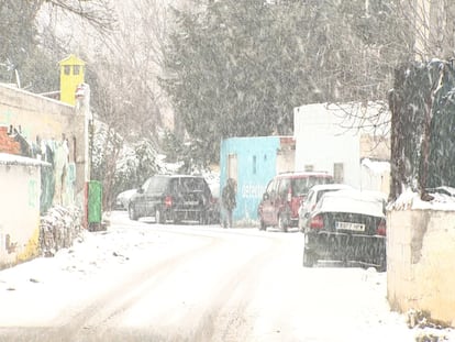 Cae la nieve en la Cañada Real.