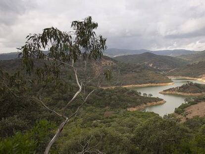 Imagen de la finca La Almoraima, en Castellar de la Frontera, C&aacute;diz. 