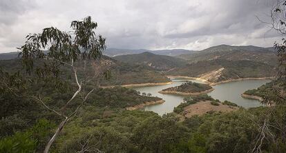 Imagen de la finca La Almoraima, en Castellar de la Frontera, Cádiz.