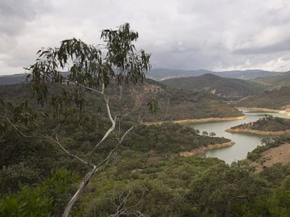 Imagen de la finca La Almoraima, en Castellar de la Frontera, C&aacute;diz. 