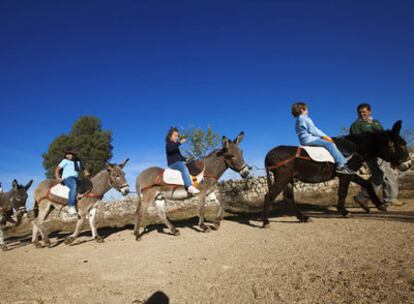 Paseo en burro en el monasterio cisterciense de Matallana, cerca de Villalba de los Alcores (Valladolid)