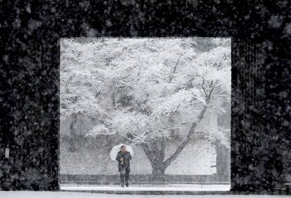 Un hombre se protege de la nieve en el Palacio Imperial de Tokio (Japón). Las fuertes nevadas registradas hoy en Tokio han activado la mayor alerta por este fenómeno meteorológico en cuatro años, además de afectar al tráfico aéreo y ferroviario, así como al transporte por carretera en el centro y norte del país.