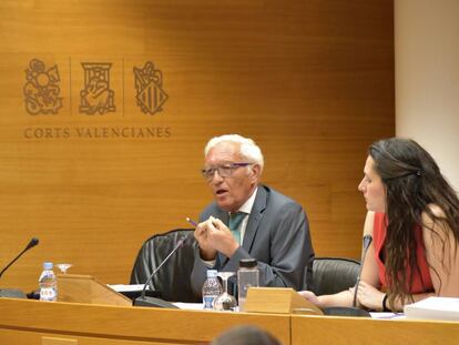 Rafael Vicente Queralt, ex S&iacute;ndic de Comptes, en la comisi&oacute;n de investigaci&oacute;n de Ciegsa de las Cortes Valencianas.