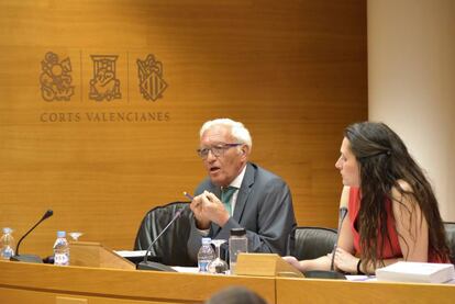 Rafael Vicente Queralt, ex S&iacute;ndic de Comptes, en la comisi&oacute;n de investigaci&oacute;n de Ciegsa de las Cortes Valencianas.