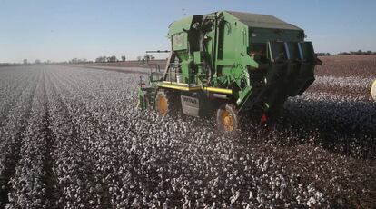 Un tractor trabaja en un campo de algod&oacute;n en Wilson, Arkansas.&nbsp; 