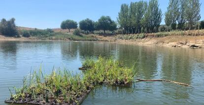 Varios módulos de corcho natural instalados en un humedal de Extremadura.