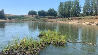 Varios módulos de corcho natural instalados en un humedal de Extremadura. 