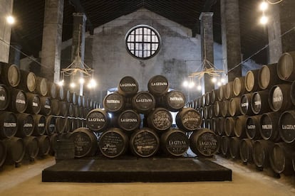 Barricas en la bodega-catedral de Hidalgo La Gitana.