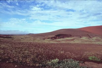 El entorno de Dettifoss es una zona yerma sin apenas vegetación, formada tras años de erosión. Su paisaje recuerda a las rojizas laderas del planeta Marte.