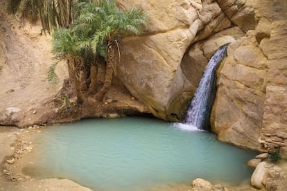 El oasis de Chebika.