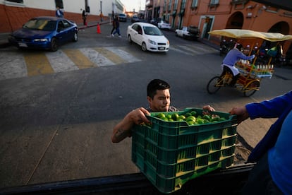 Un hombre carga una camioneta con cajas de limones en Maravatío, Michoacán, en febrero de 2024.