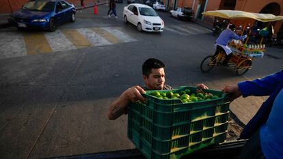Un hombre carga una camioneta con cajas de limones en Maravatío, Michoacán, en febrero de 2024.