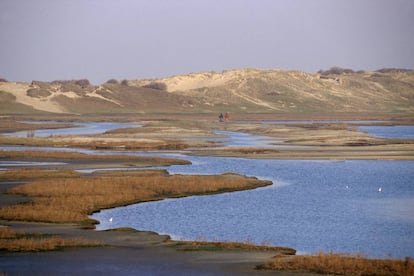 Vista de la reserva natural de Zwin, en Knokke.