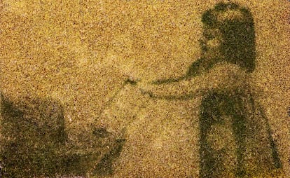 'Family Album' perteneciente a la serie 'The Pigment Change' (2020).