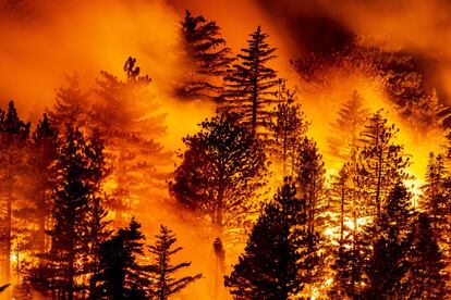 Las gran cantidad de incendios activos y el hecho de que se estén dando en tantos lugares distintos a la vez está agotando los recursos de los cuerpos de bomberos, que habitualmente recurren a la ayuda de otras jurisdicciones cuando se encuentran ante un fuego de grandes dimensiones, algo que ahora está resultando muy complicado. En la imagen, el incendio Bobcat avanza por el norte de Monrovia (California), el 9 de septiembre.