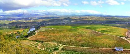 Finca de 72 hectáreas situada en El Cortijo (Rioja Alta) propiedad de Bodegas Lan. 