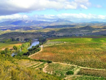 Finca de 72 hectáreas situada en El Cortijo (Rioja Alta) propiedad de Bodegas Lan. 