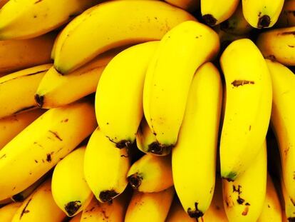 El plátano está en peligro de extinción