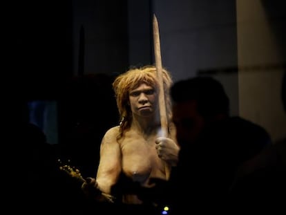 Reproducci&oacute;n de un neandertal en el Museo Arqueol&oacute;gico Nacional. 