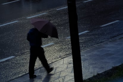 Mojarnos bajo la lluvia