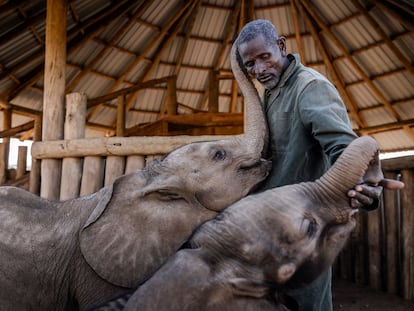 Reteti Elephant Sanctuary in Samburu, Kenya