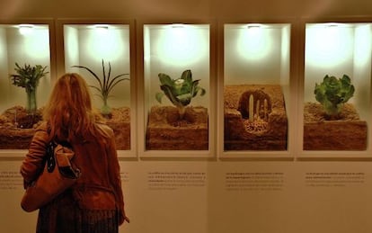 El Museo de la Verdura de Calahorra.