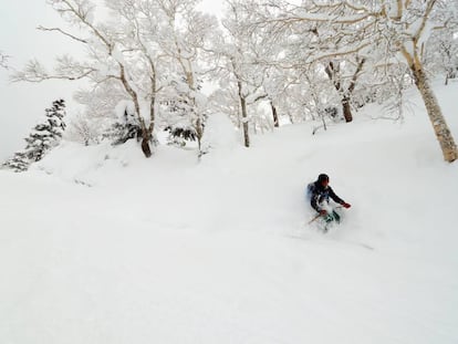 Asahidake, el paraíso de la nieve en polvo.