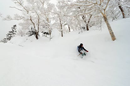 Asahidake, el paraíso de la nieve en polvo.